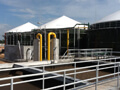 biogas